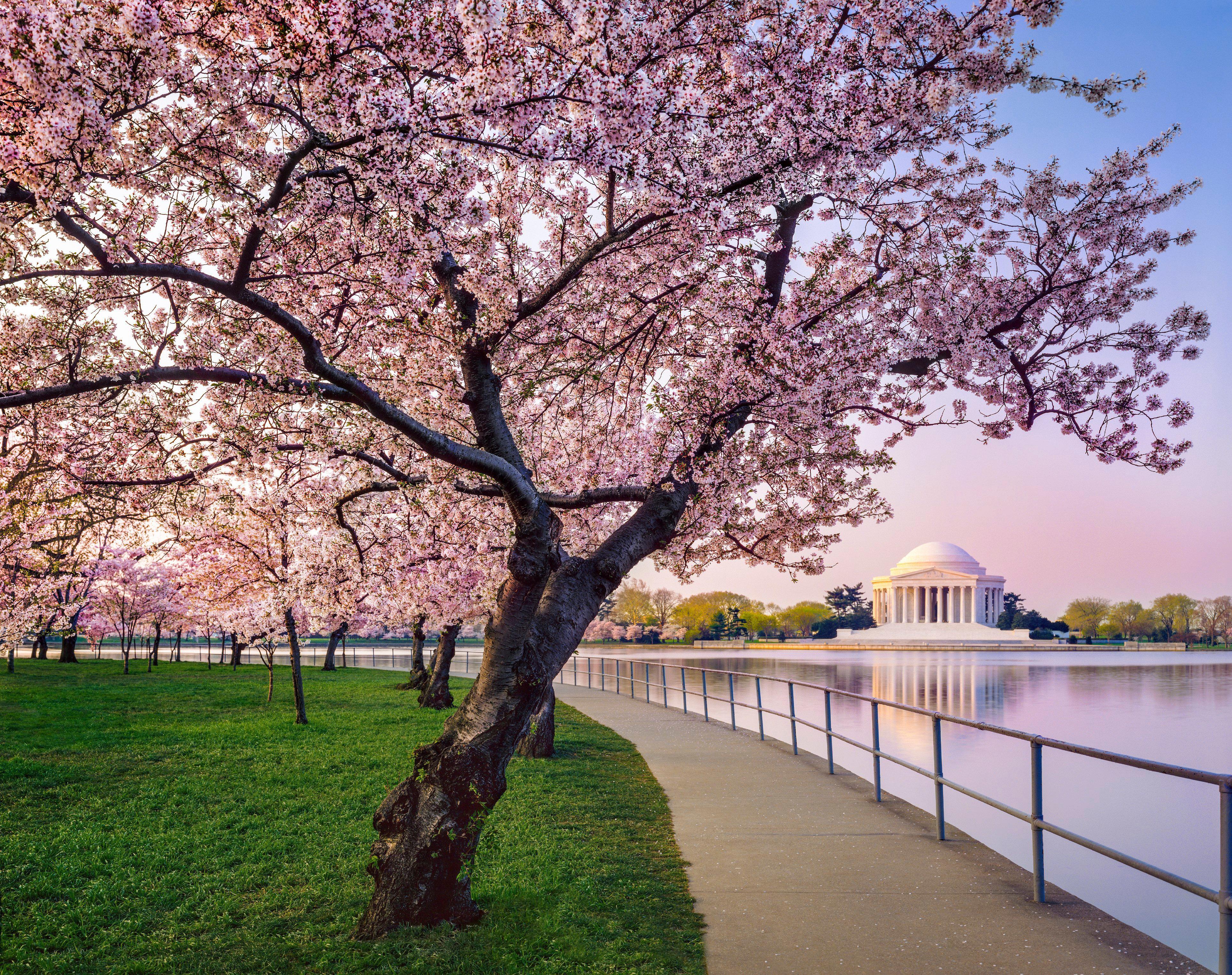 Kimpton Hotel Monaco Washington Dc By Ihg Екстер'єр фото